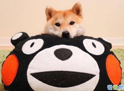 朋友圈搞笑創(chuàng)意文案 超短搞笑句子大全20201