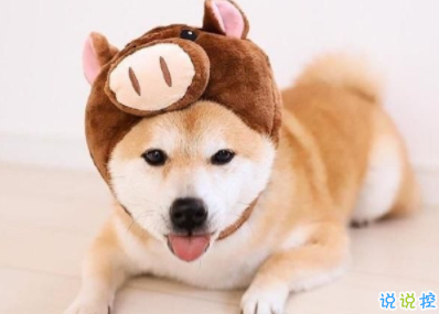 朋友圈搞笑創(chuàng)意文案 超短搞笑句子大全20202