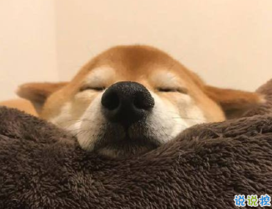 小可愛專屬微信說說帶圖片 一些有趣可愛的句子3