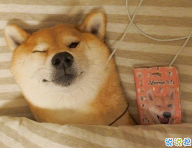 小可愛專屬微信說說帶圖片 一些有趣可愛的句子11