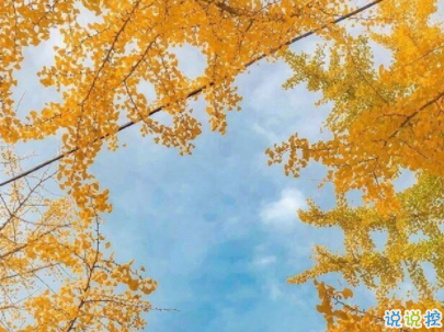 文藝經典句子帶圖片 再難也要堅持再苦也要微笑7