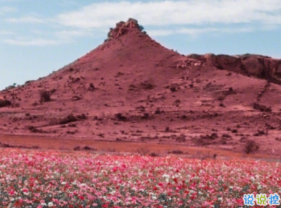 文藝經典句子帶圖片 再難也要堅持再苦也要微笑3