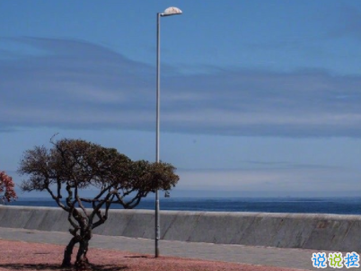 文藝經典句子帶圖片 再難也要堅持再苦也要微笑2