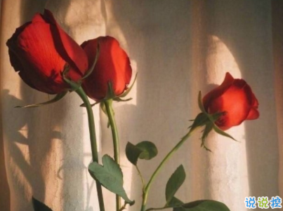 文藝經典句子帶圖片 再難也要堅持再苦也要微笑8