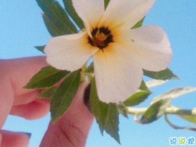 文藝經典句子帶圖片 再難也要堅持再苦也要微笑1