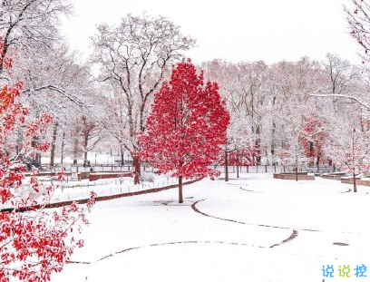 初雪表白文案打動人 適合告白的高級情話句子1