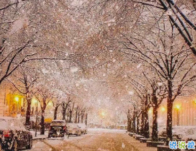 初雪表白文案打動人 適合告白的高級情話句子2