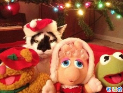 2019圣誕節(jié)發(fā)的空間說說帶圖片 最美圣誕節(jié)句子精選13