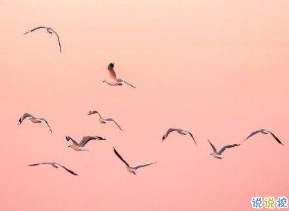 勵志說說致自己2020最新 一句話激勵自己努力奮斗2