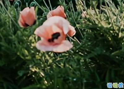 喝酒時朋友圈傷感文案 觸碰心靈的傷感句子1