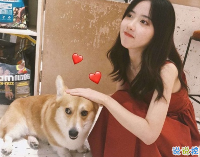 微信朋友圈曬寵物說說帶圖片 寵物說說可愛配圖13