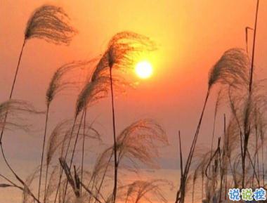 陽光治愈短句很溫暖 抖音治愈系文字20202