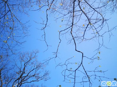 天氣陰冷的說說帶圖片 下雨天氣變涼的說說4