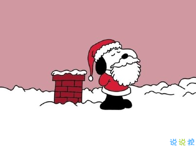 2019圣誕節(jié)朋友圈文案搞笑帶圖片 圣誕節(jié)快樂搞笑說說4