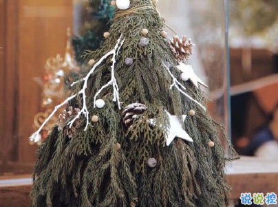 2019圣誕節(jié)朋友圈文案搞笑帶圖片 圣誕節(jié)快樂搞笑說說9