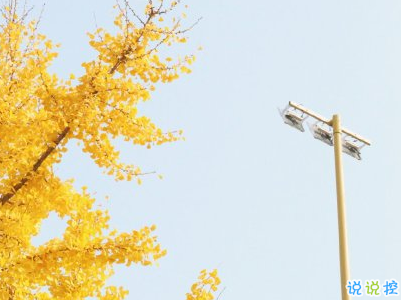 抖音上的寶藏句子帶圖片 溫柔很仙的寶藏句子4