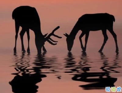 抖音上的寶藏句子帶圖片 溫柔很仙的寶藏句子14