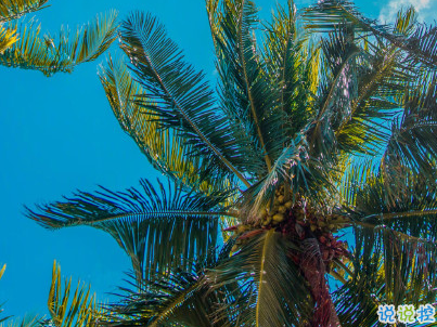 抖音上的寶藏句子帶圖片 溫柔很仙的寶藏句子13