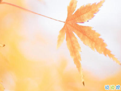 抖音上的寶藏句子帶圖片 溫柔很仙的寶藏句子2