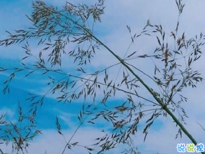 抖音上的寶藏句子帶圖片 溫柔很仙的寶藏句子6