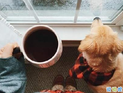 冬天下雪天文案唯美帶圖片 抖音最火下雪天說說13