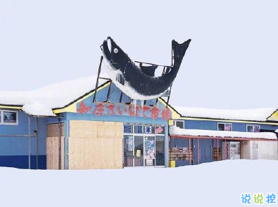 冬天下雪天文案唯美帶圖片 抖音最火下雪天說說7