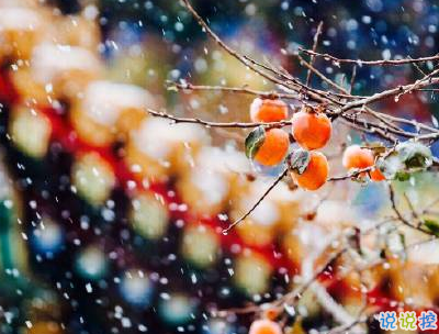 冬天下雪天文案唯美帶圖片 抖音最火下雪天說說5