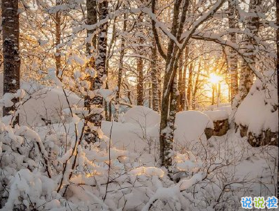 2020下雪天朋友圈文案帶圖片 雪景說說唯美浪漫11