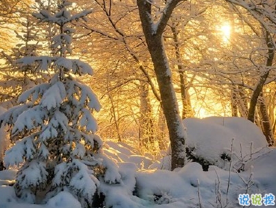 2020下雪天朋友圈文案帶圖片 雪景說說唯美浪漫3