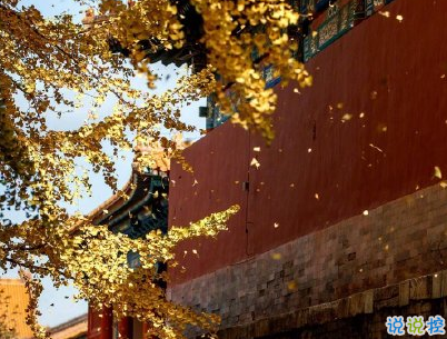 2020下雪天朋友圈文案帶圖片 雪景說說唯美浪漫10