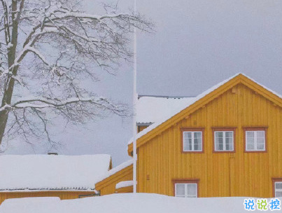 2020下雪天朋友圈文案帶圖片 雪景說說唯美浪漫15