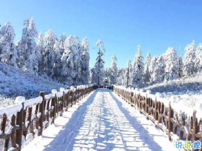 2020下雪天朋友圈文案帶圖片 雪景說說唯美浪漫4