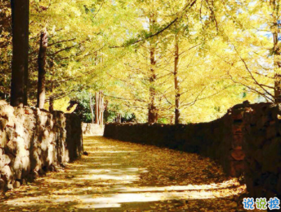 心情不好的說說失望放棄 心已死的傷感說說帶圖片7