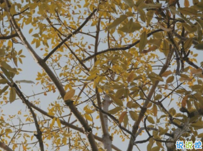 心情不好的說說失望放棄 心已死的傷感說說帶圖片11