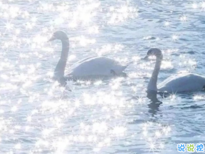 朋友圈早安激勵語帶圖片 勵志早安心語配圖12