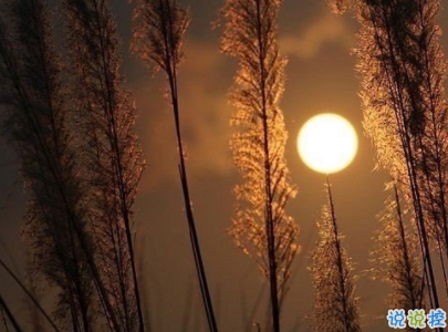 經(jīng)典說說帶圖片別人比贊 微信意義深遠(yuǎn)的句子配圖6