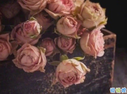 經(jīng)典說說帶圖片別人比贊 微信意義深遠(yuǎn)的句子配圖9