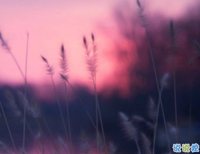 經(jīng)典說說帶圖片別人比贊 微信意義深遠(yuǎn)的句子配圖14