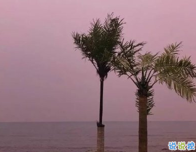 微信傷感說說痛到心碎 沮喪頹廢的句子合集1