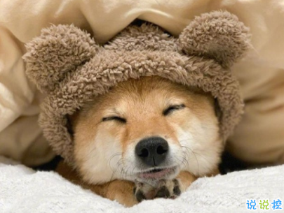 2020跨年說說個(gè)性短句帶圖片 2019~2020朋友圈說說10