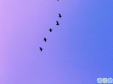 外表堅(jiān)強(qiáng)內(nèi)心破碎的傷感說說 女生被愛所困的句子2