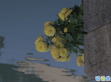 超級(jí)喪的句子微博 一些喪喪的傷感句子合集1