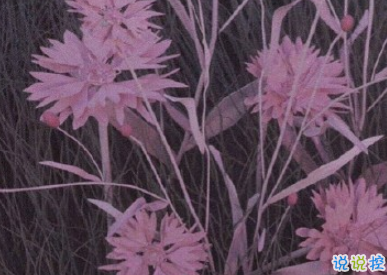 心情很差很喪的句子 2020最新傷感心情句子2