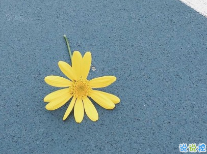 抖音早安經(jīng)典句子帶圖片 早安心語致所有人5