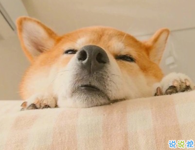 抖音早安經(jīng)典句子帶圖片 早安心語致所有人3