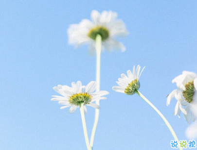 抖音早安經(jīng)典句子帶圖片 早安心語致所有人9