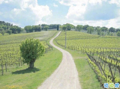 抖音早安經(jīng)典句子帶圖片 早安心語致所有人8