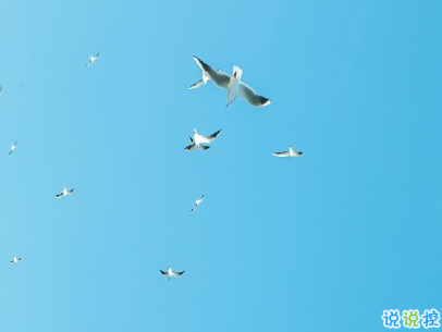 抖音早安經(jīng)典句子帶圖片 早安心語致所有人1