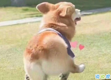 抖音沙雕文案搞笑句子 別急聽(tīng)我狡辯1