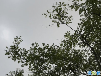 回家過(guò)年的心情說(shuō)說(shuō)帶圖片 2020朋友圈回家過(guò)年的句子14